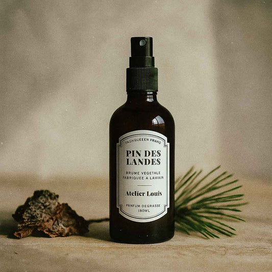 Brume végétale Pin des Landes